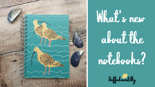 What’s new about the notebooks?