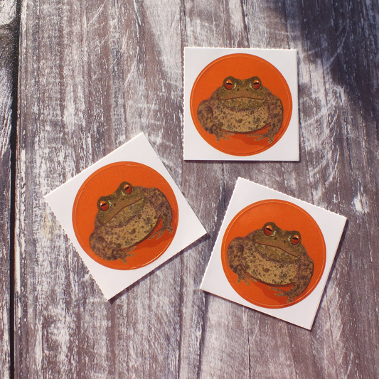 Toad 38mm Vinyl Sticker
