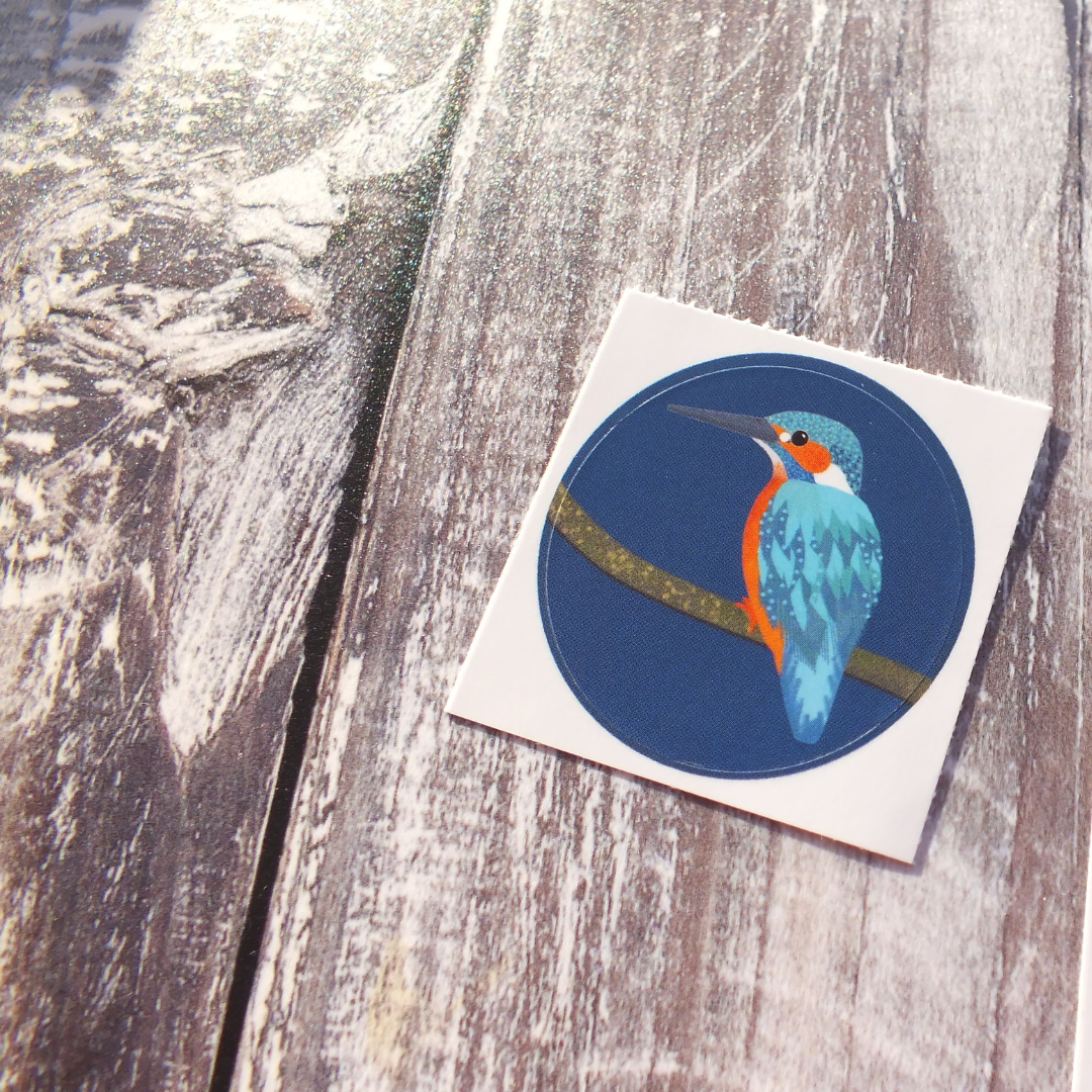 Kingfisher 38mm Vinyl Sticker