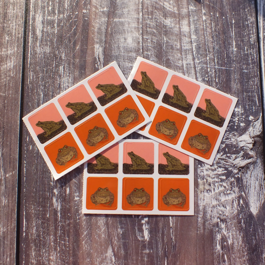 Frog and Toad Envelope Stickers - Set of 6