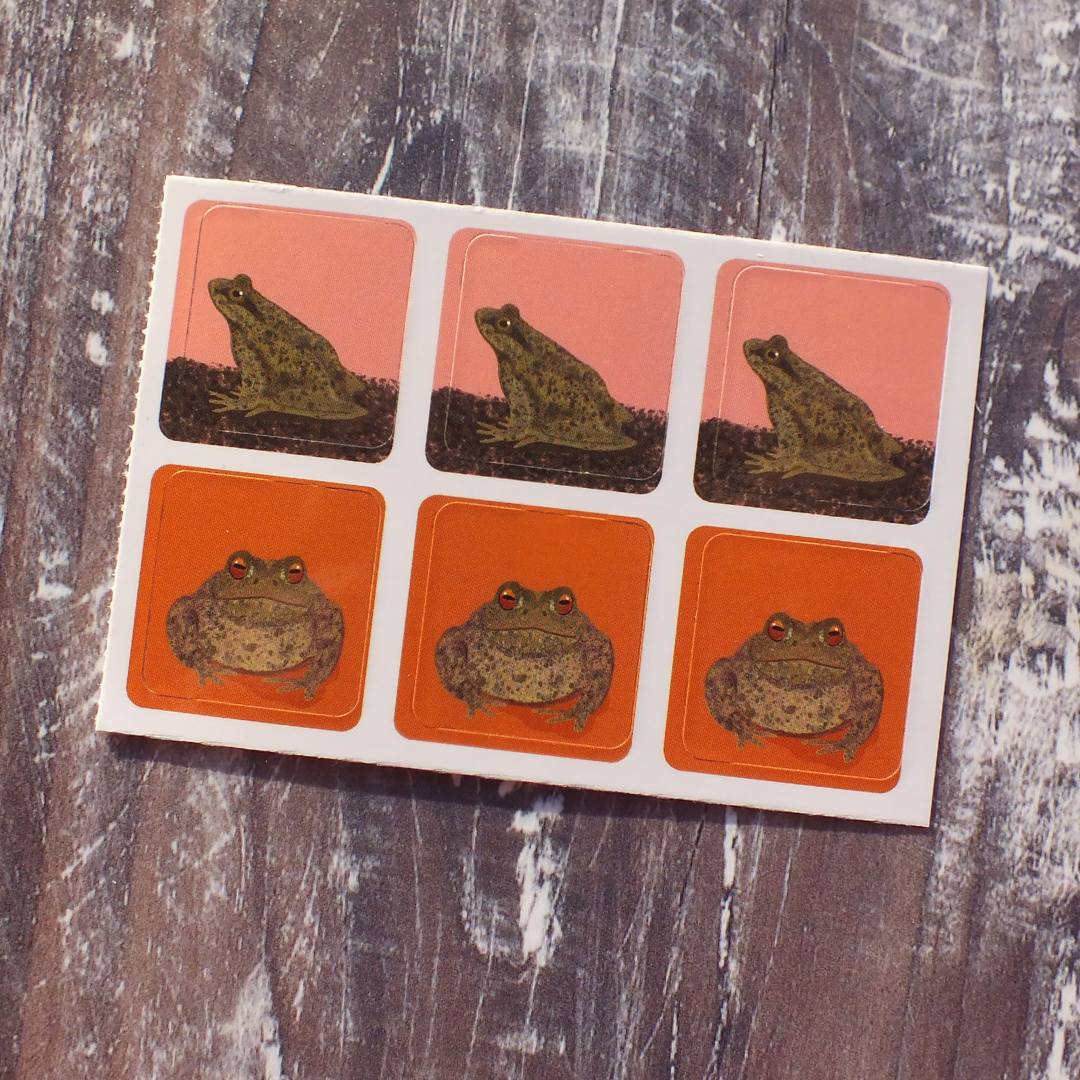 Frog and Toad Envelope Stickers - Set of 6