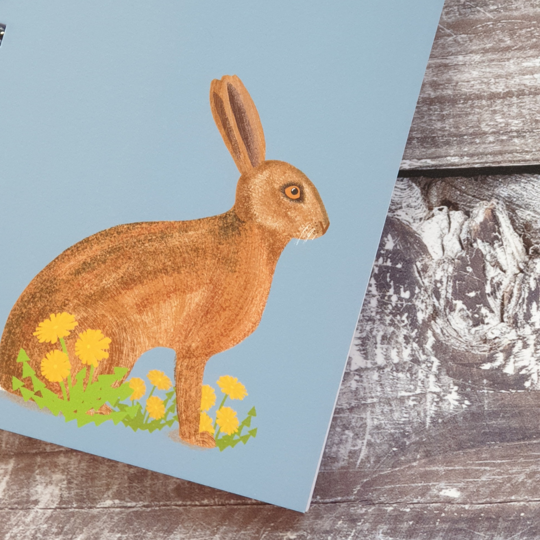 Hare Notebook