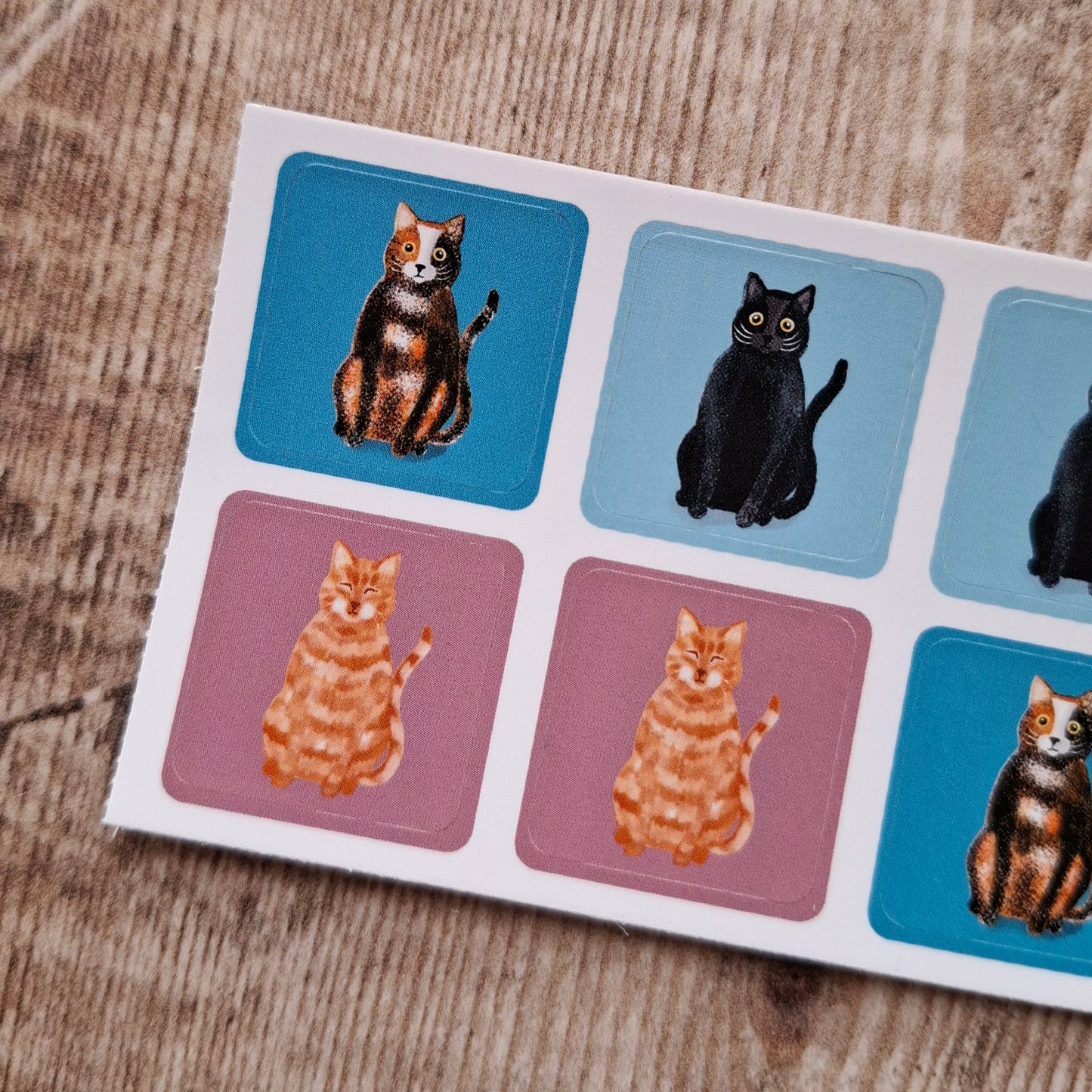 Cats Envelope Stickers - Set of 6