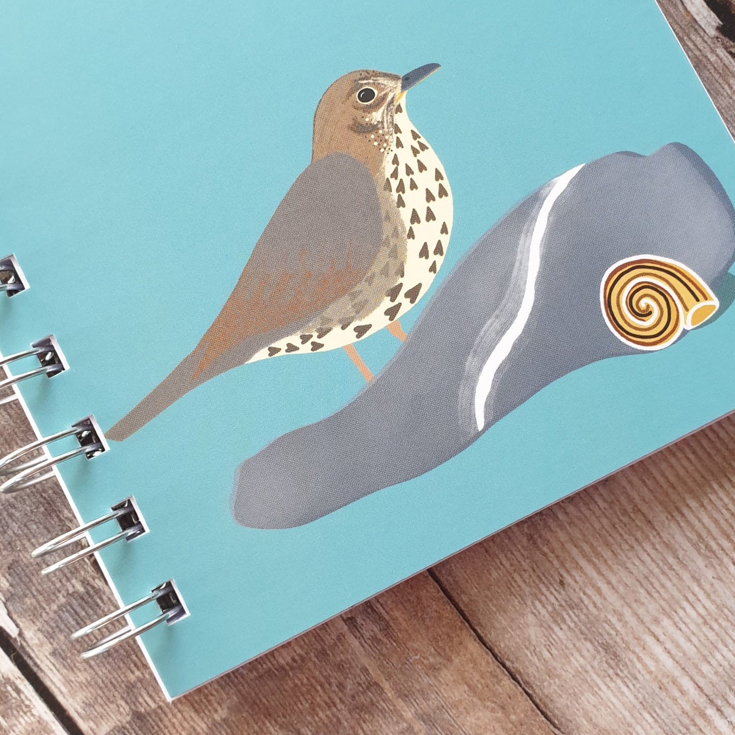Song Thrush Notebook