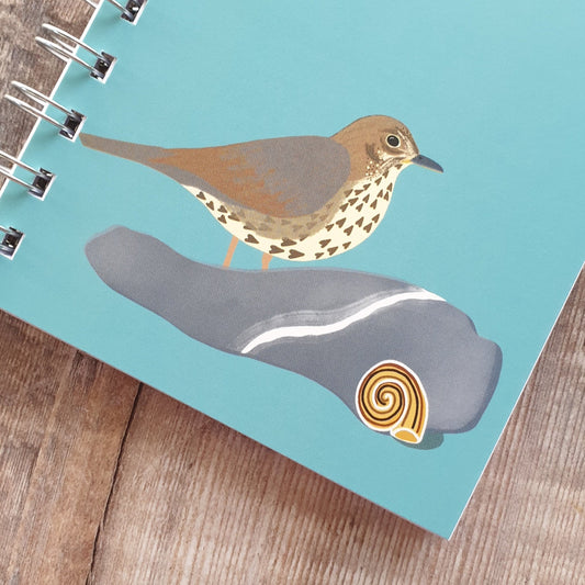 Song Thrush Notebook