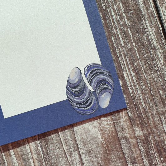 Mussel Shells Gift Notes - Set of 4