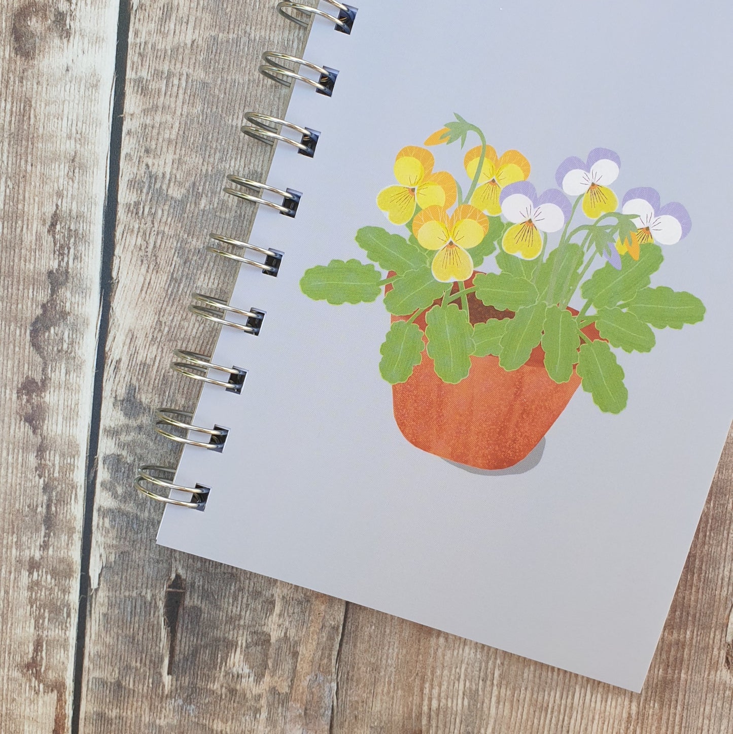 Viola Notebook