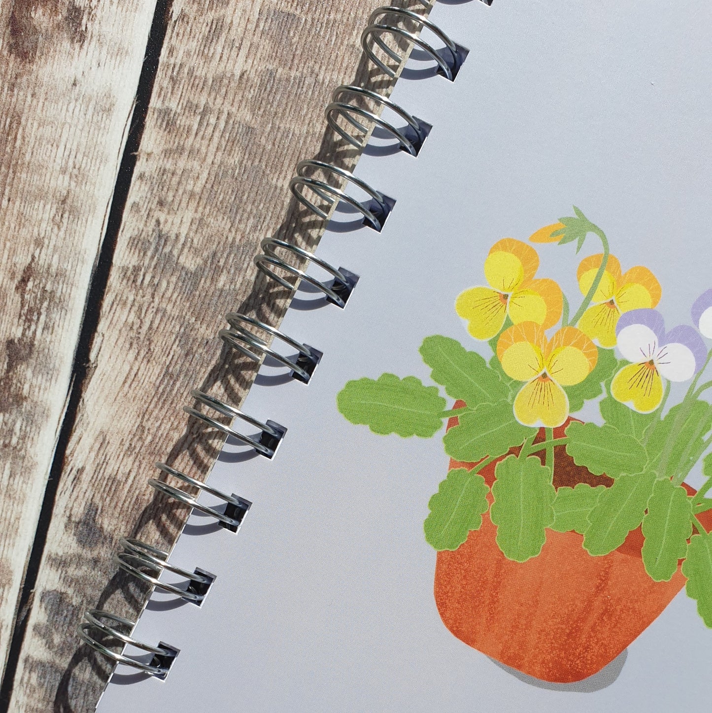 Viola Notebook