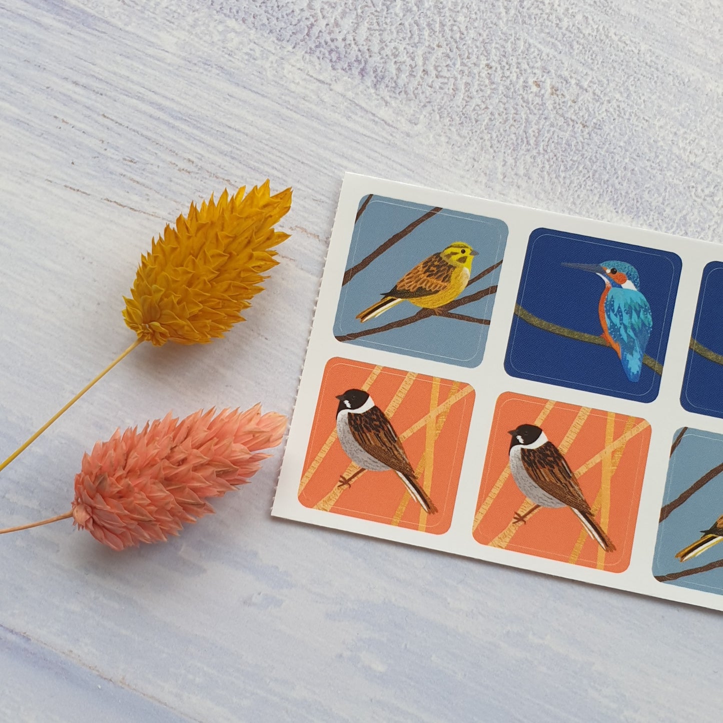 More Birds Envelope Stickers - Set of 6