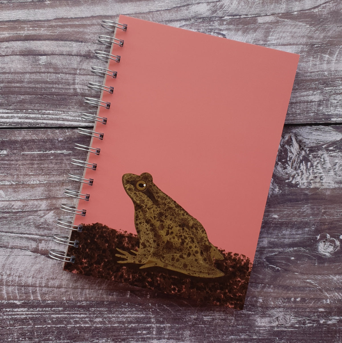 Frog Notebook