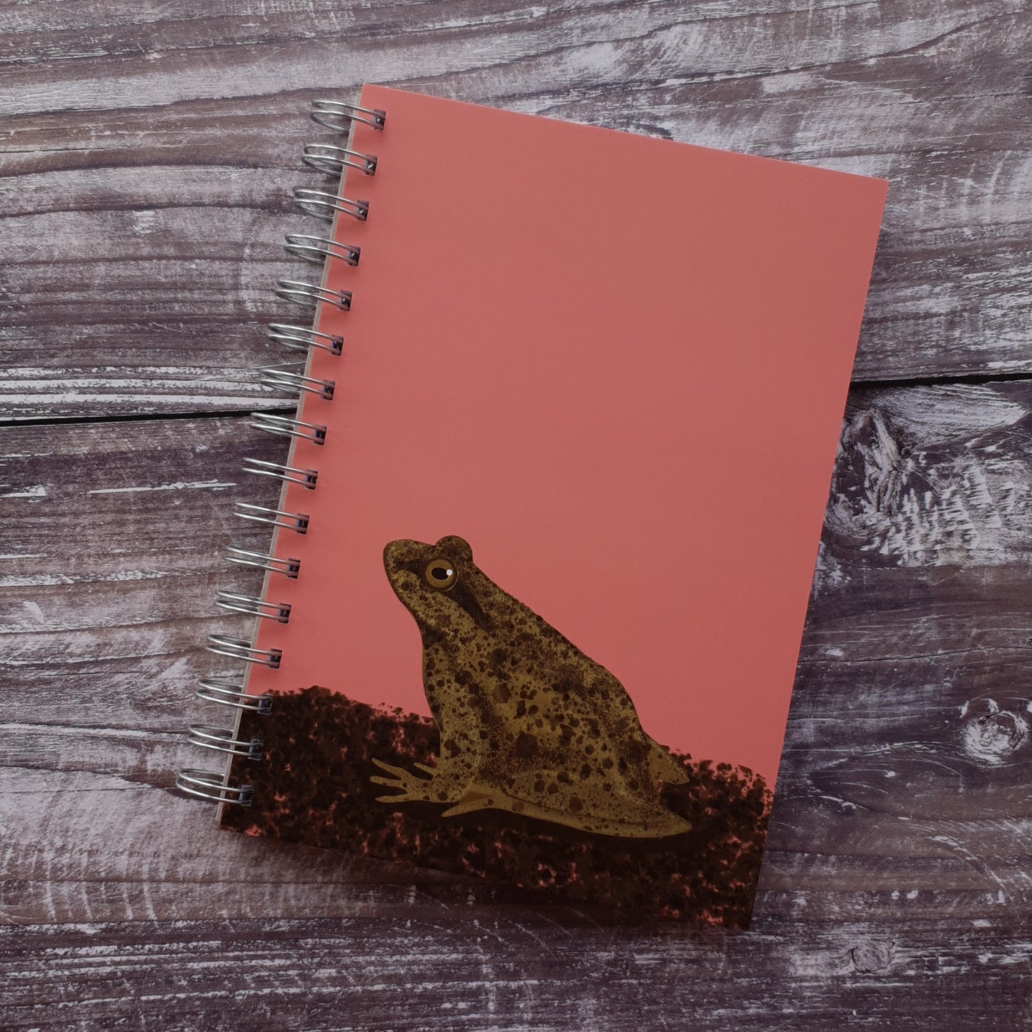 Frog Notebook