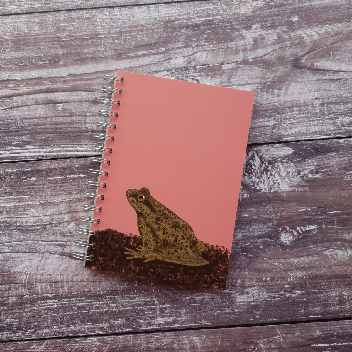 Frog Notebook