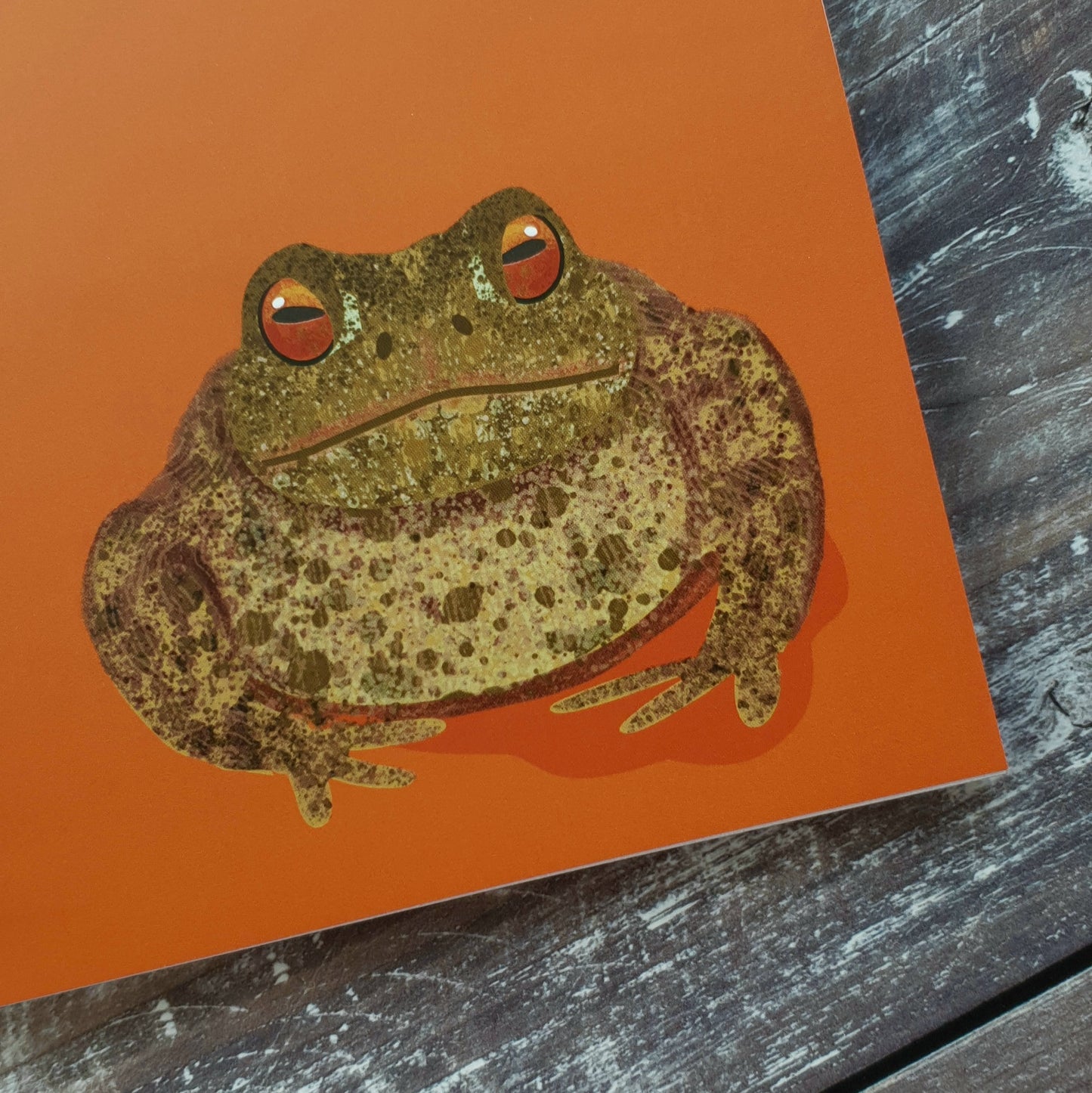 Toad Notebook