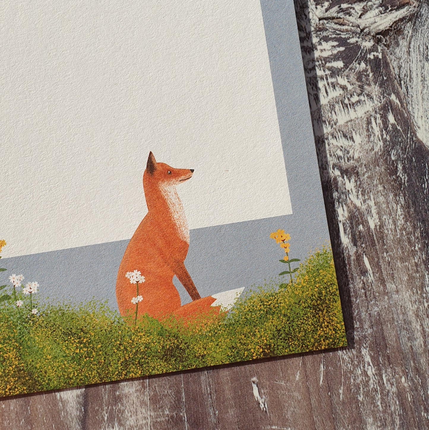 British Mammals Gift Notes