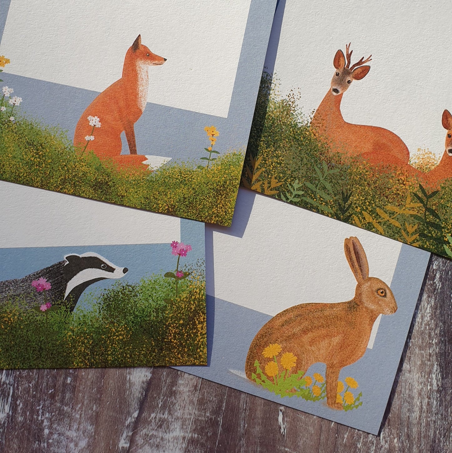 British Mammals Gift Notes