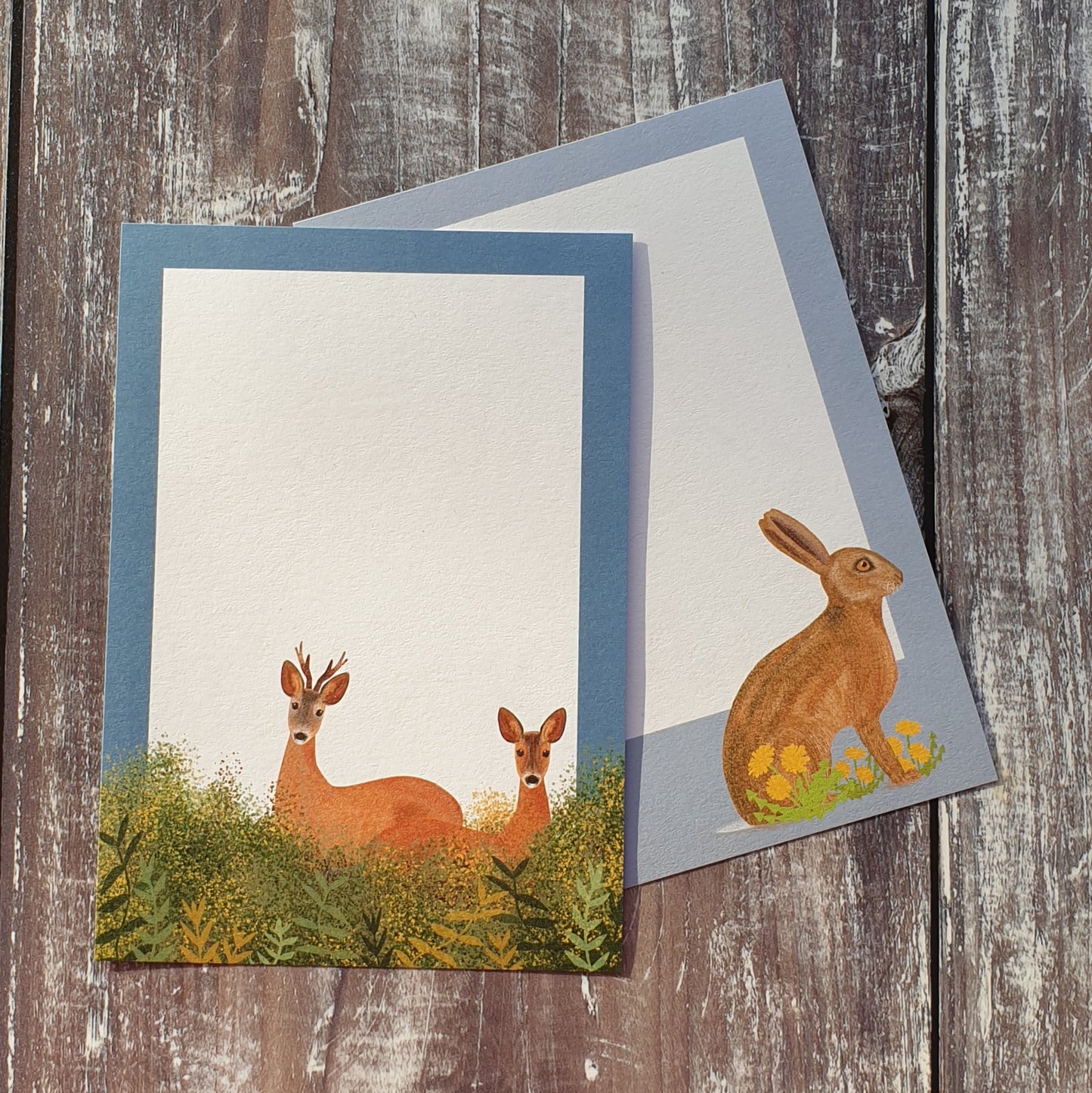 British Mammals Gift Notes