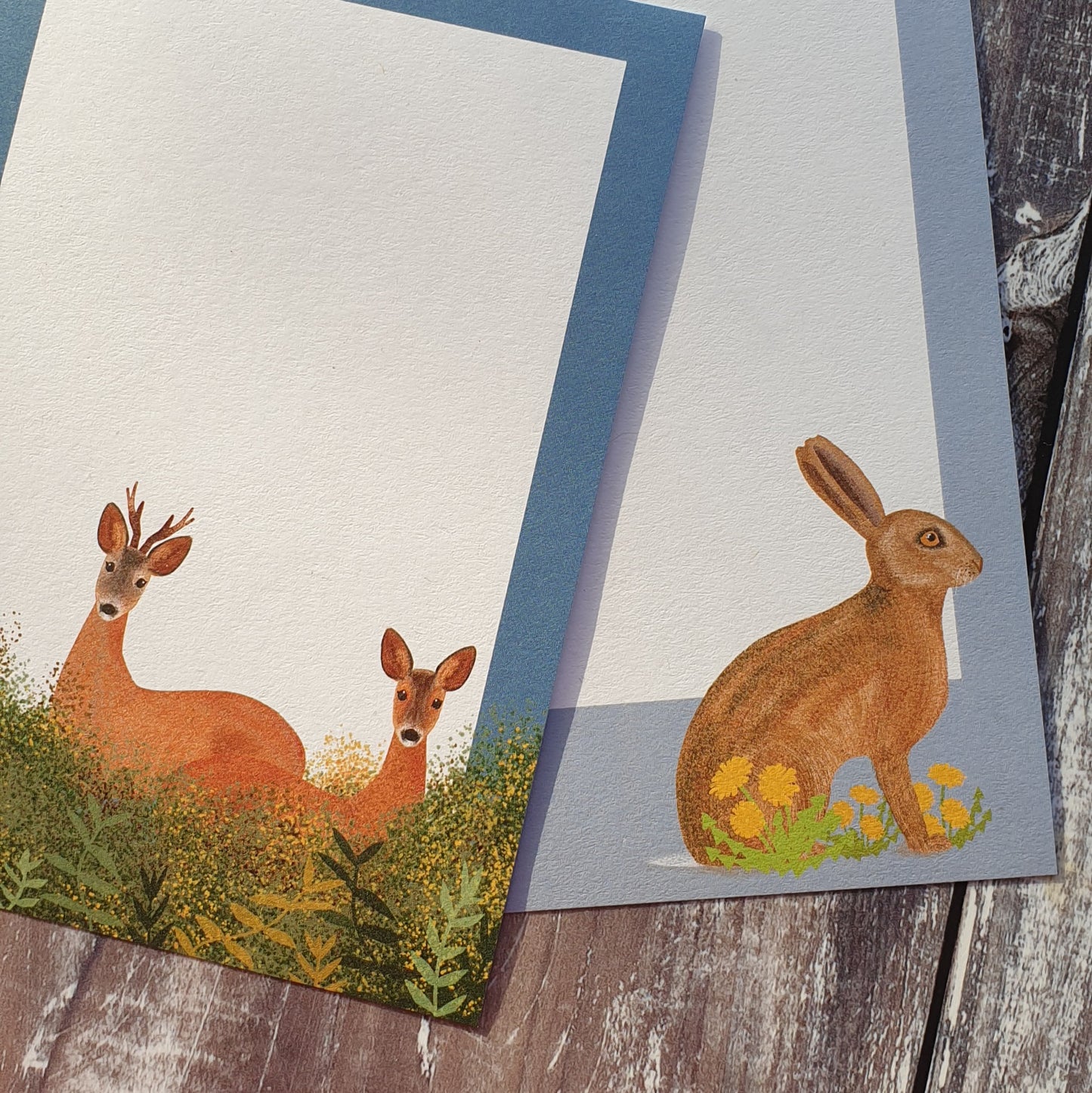 British Mammals Gift Notes