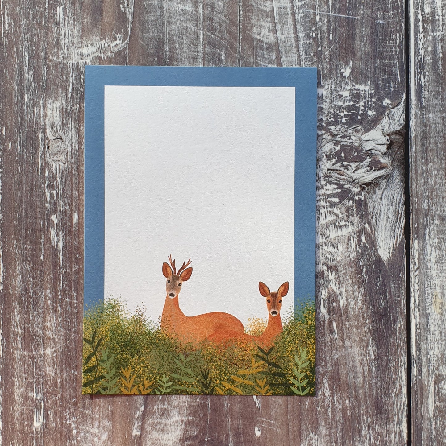 British Mammals Gift Notes