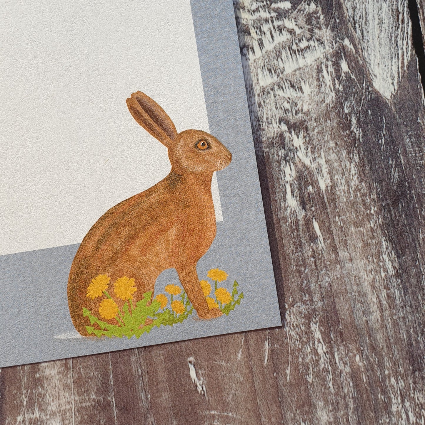 British Mammals Gift Notes
