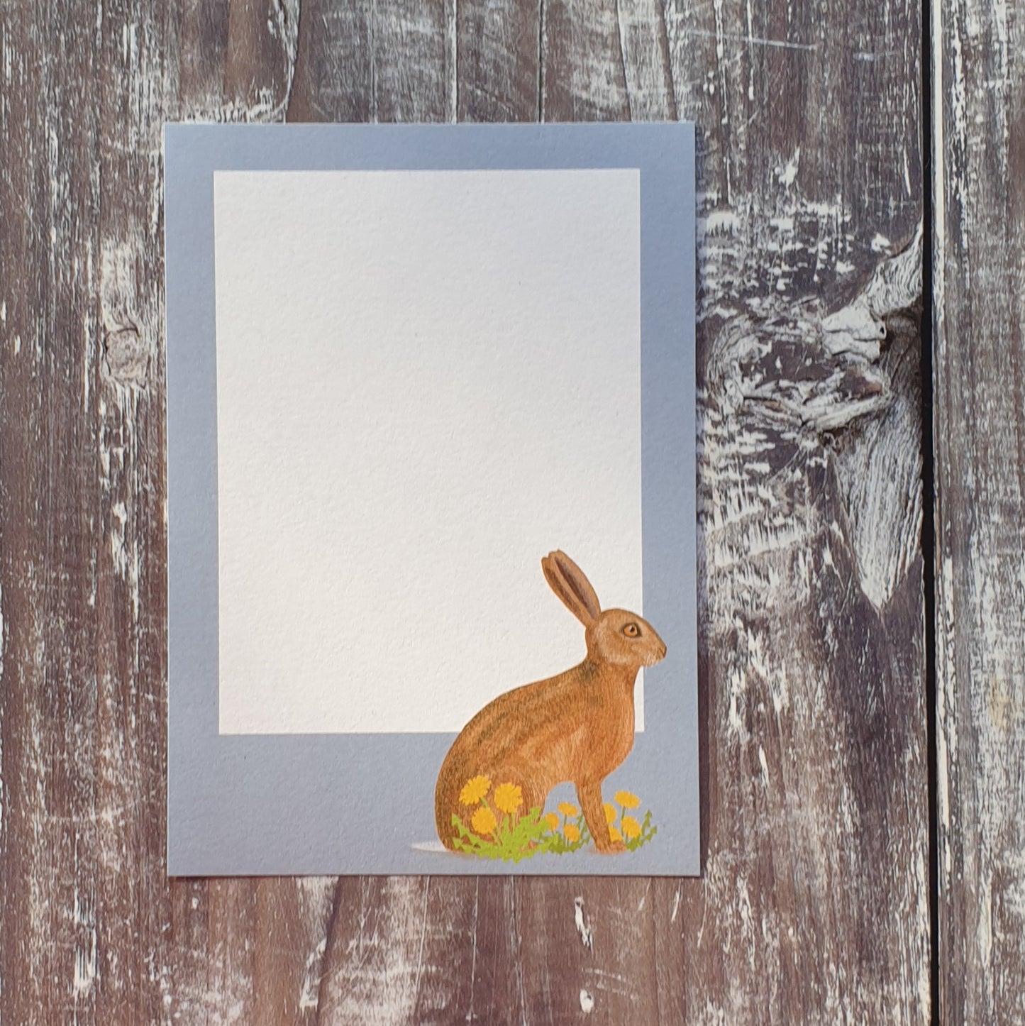 British Mammals Gift Notes