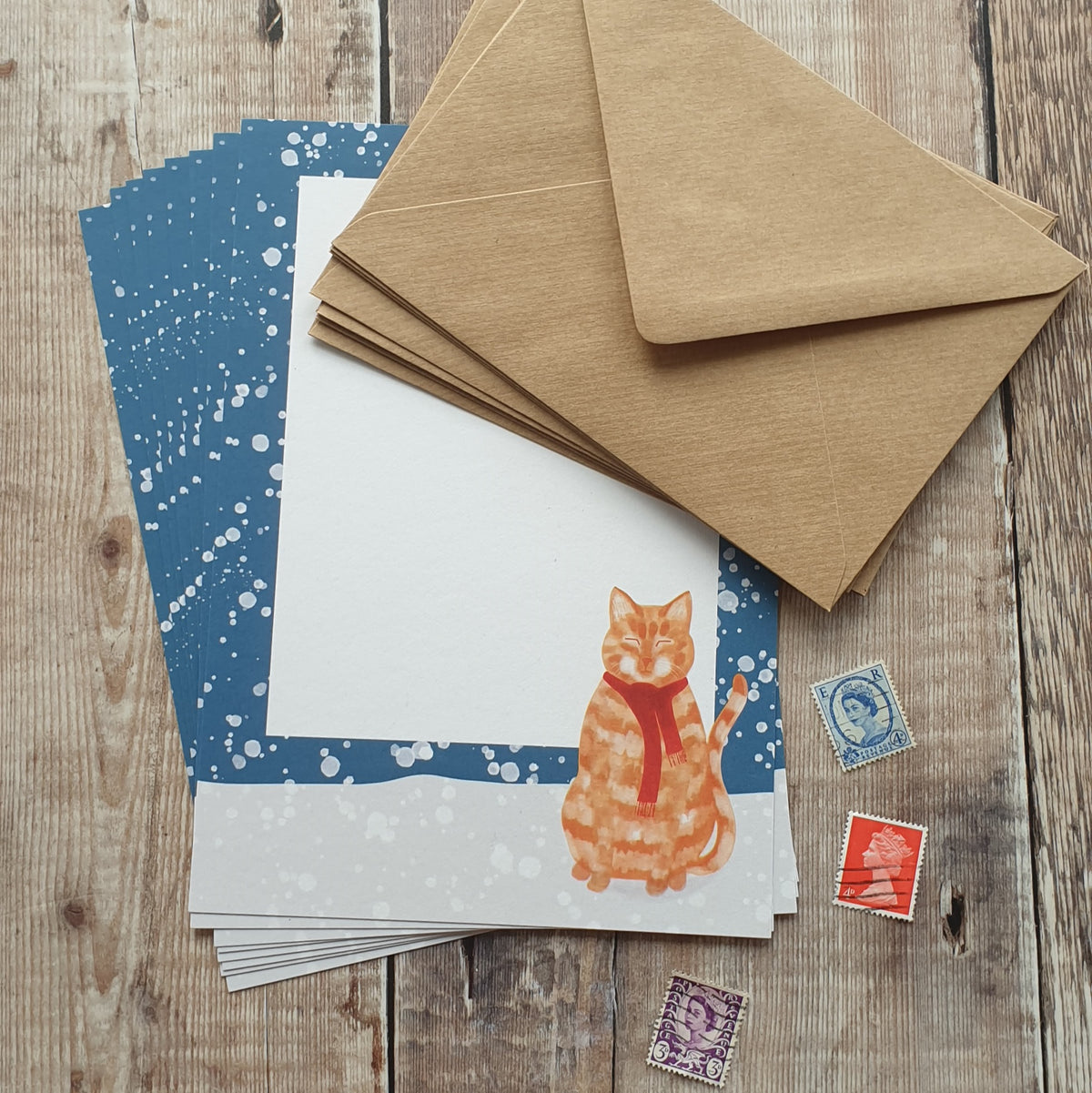 Ginger Cat in the Snow A5 Writing Paper Set