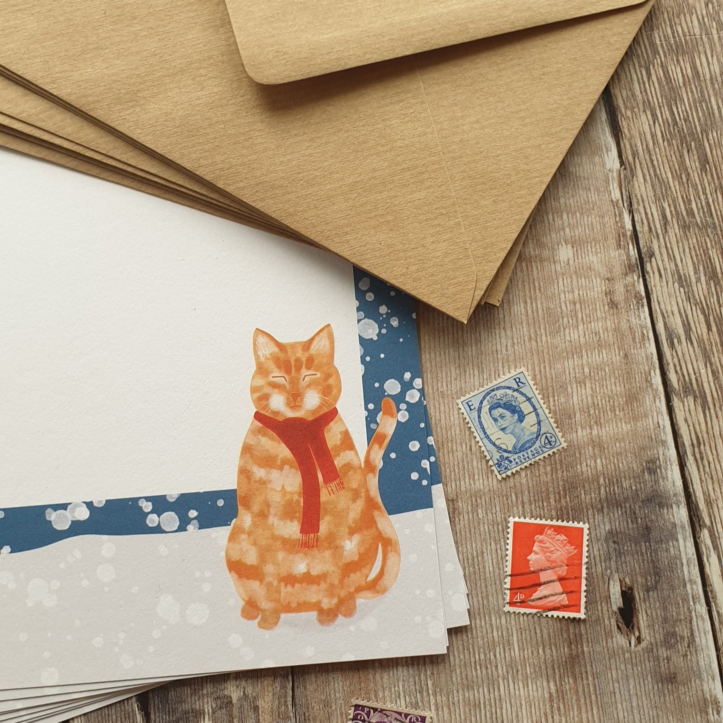 Ginger Cat in the Snow A5 Writing Paper Set