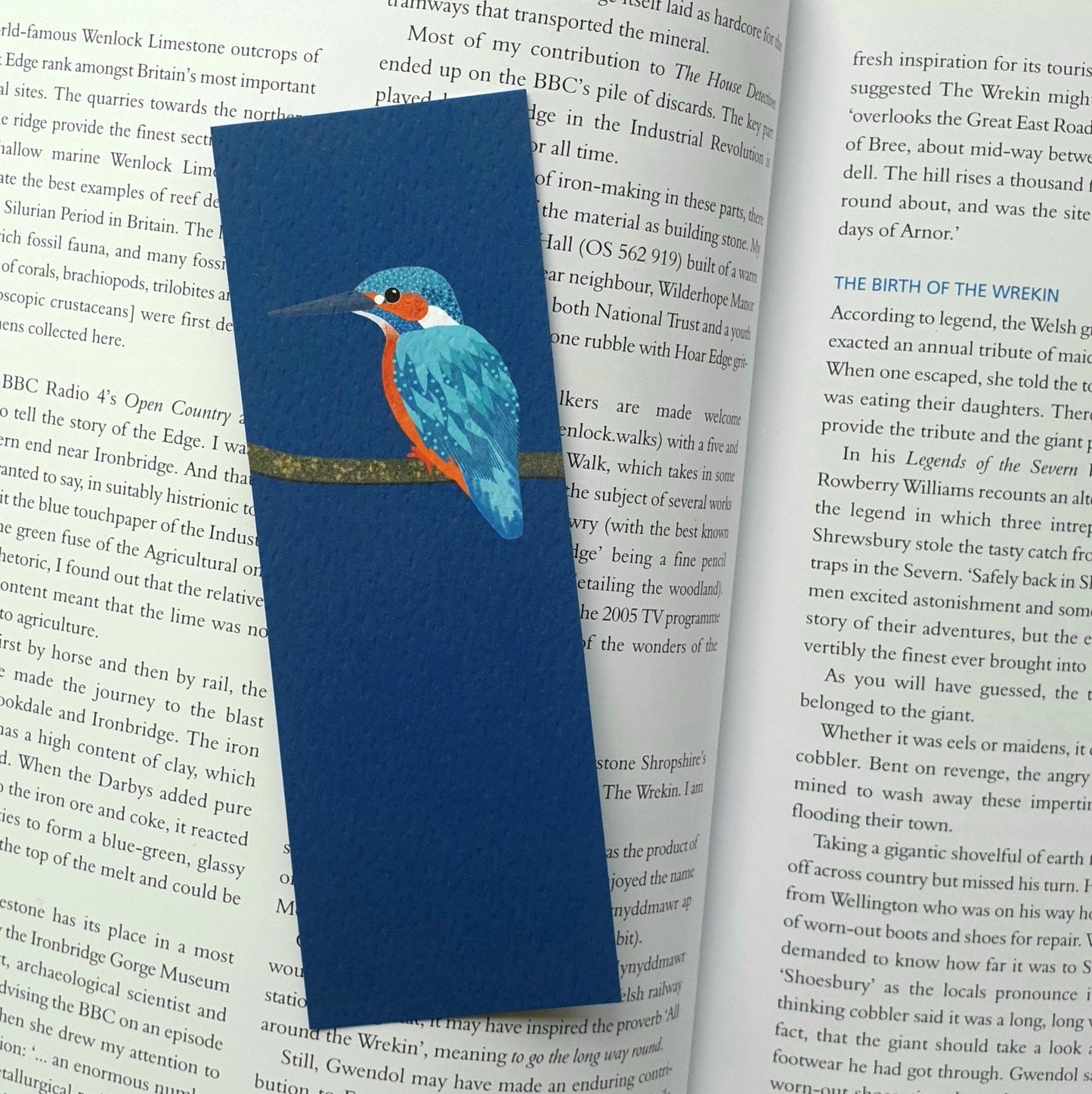 Kingfisher Bookmark