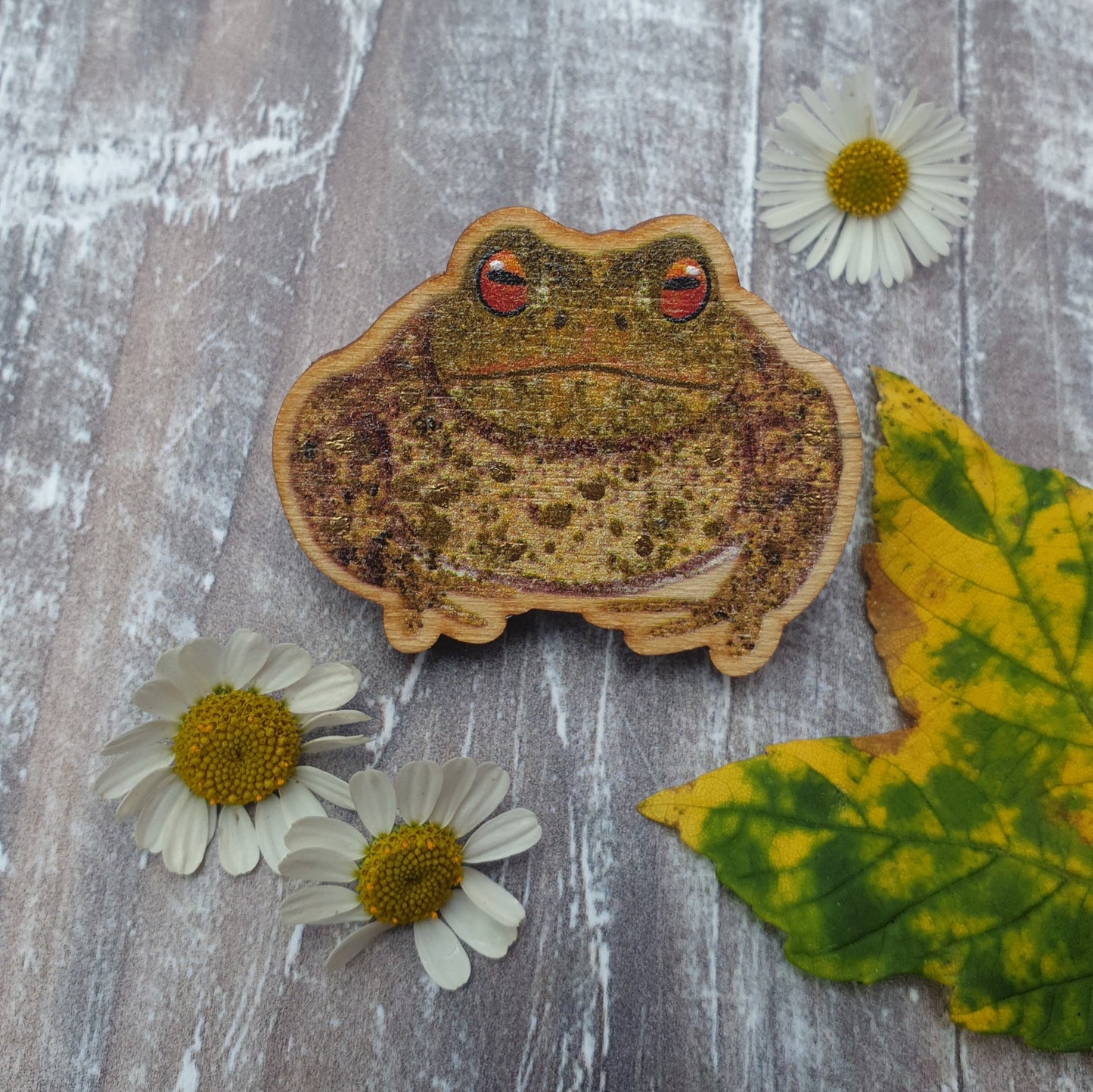 Toad Wooden Brooch Pin