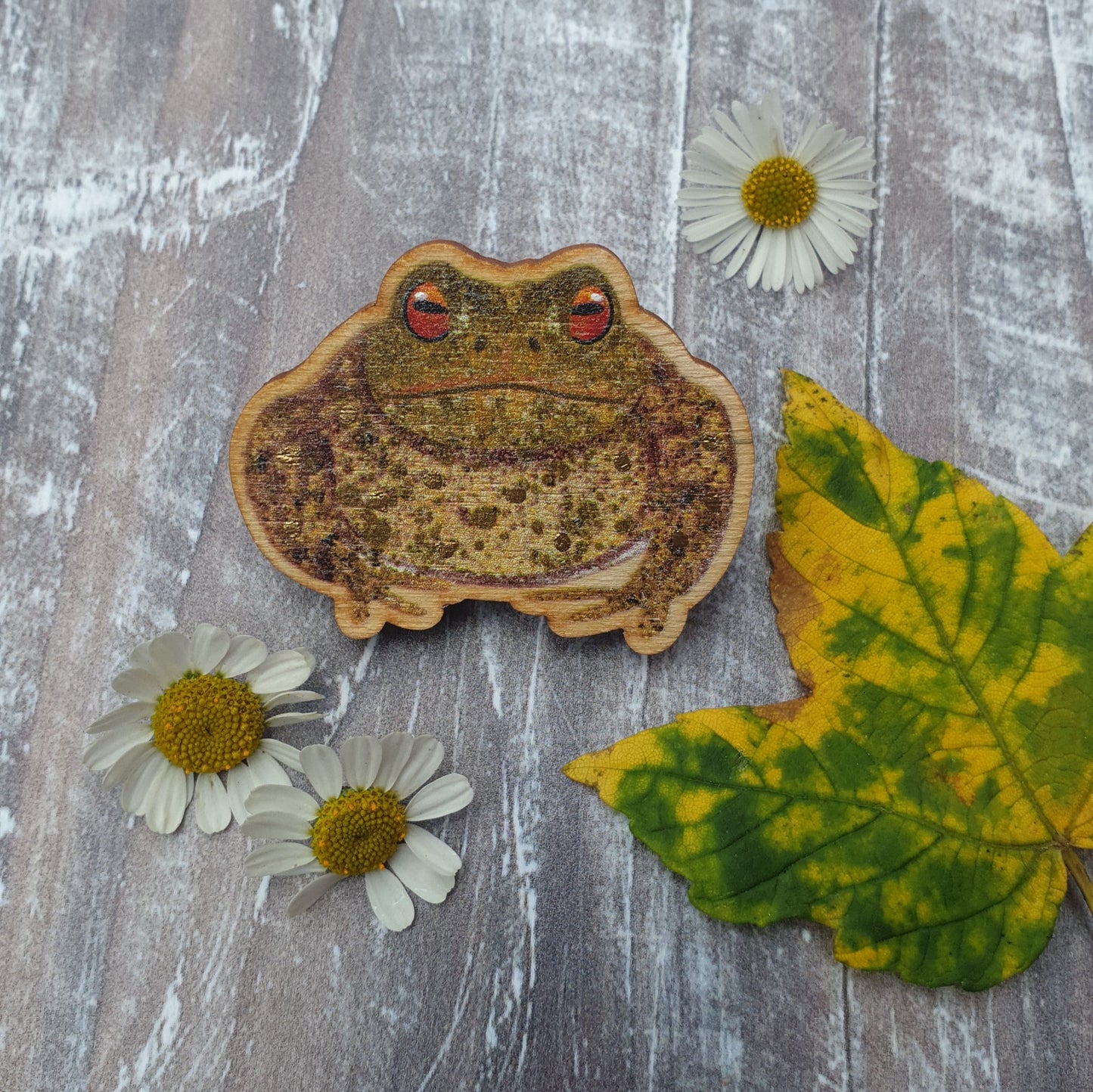 Toad Wooden Brooch Pin