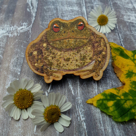 Toad Wooden Brooch Pin