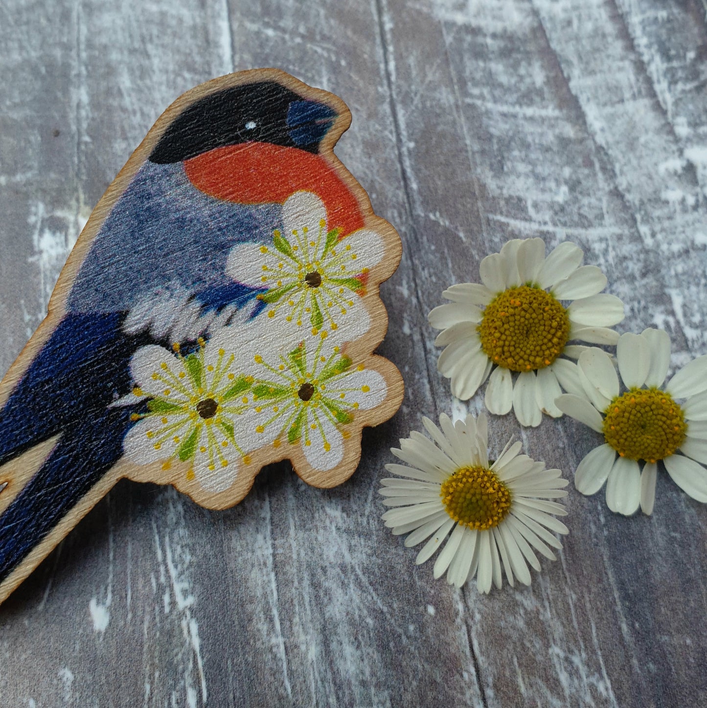Bullfinch Wooden Brooch Pin