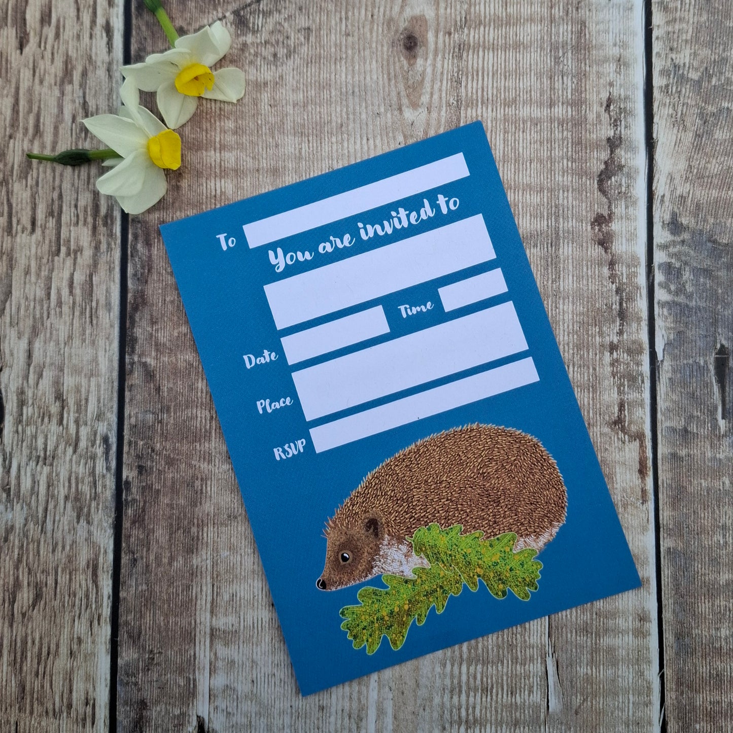 Hedgehog Party/Event invitations - Pack of 5