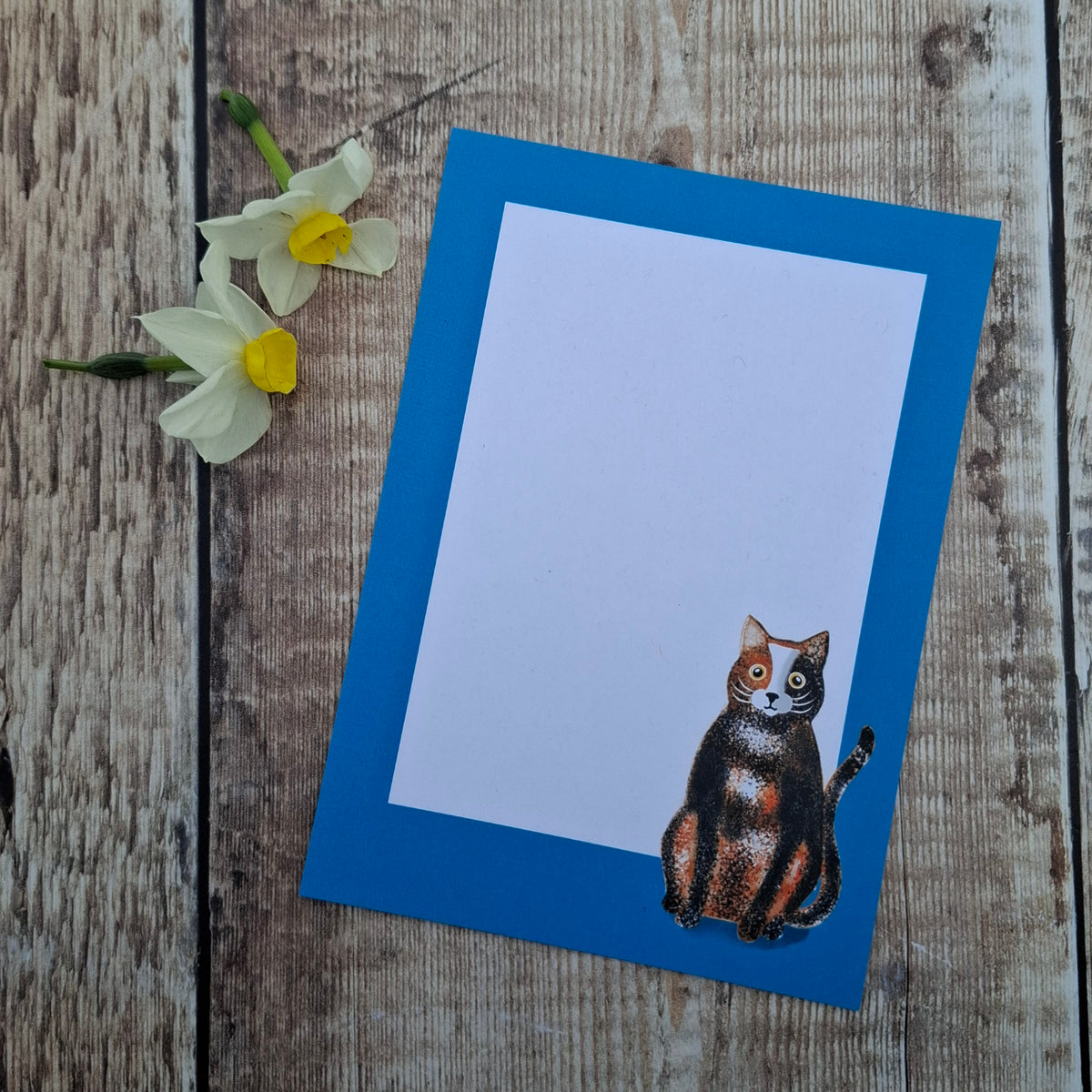Cats Gift Notes