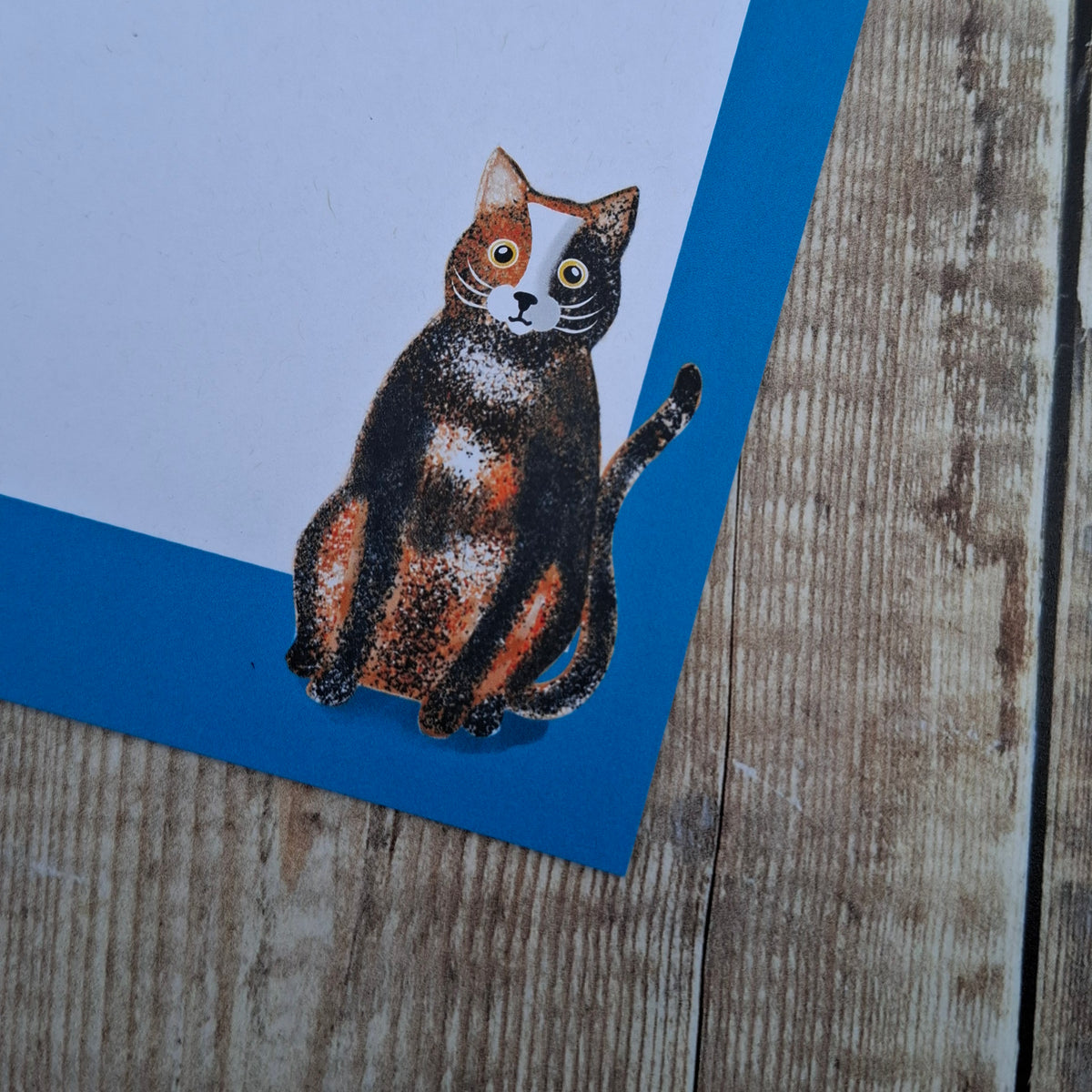 Cats Gift Notes