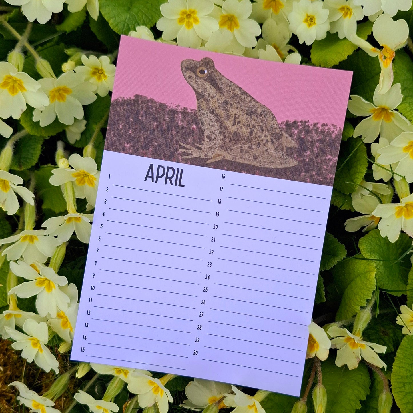 Birthday Calendar Sheets (new for 2025)