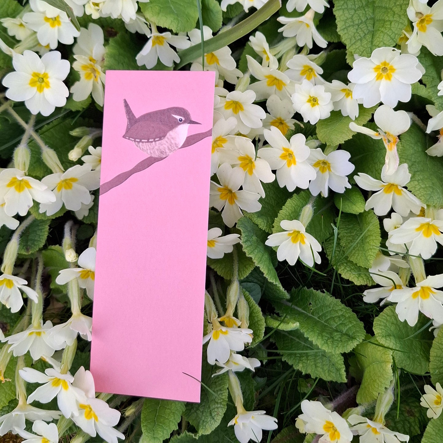 Wren Bookmark