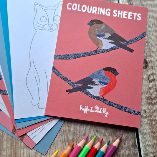 Nature Colouring Sheets - Set of 5