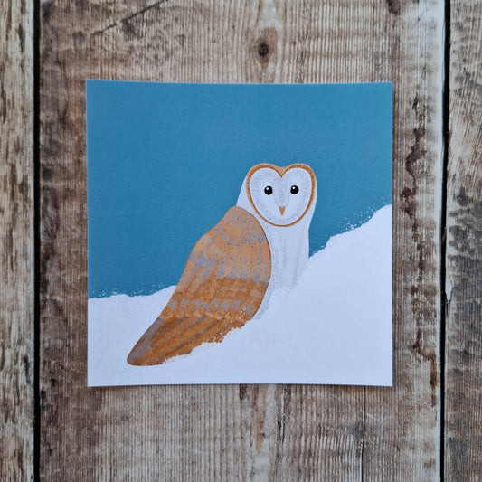 Barn Owl in the Snow Square Print