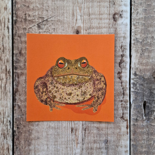 Toad Square Print