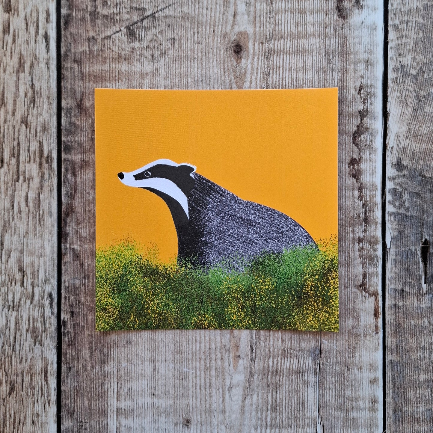 Sunset Badger Square Print