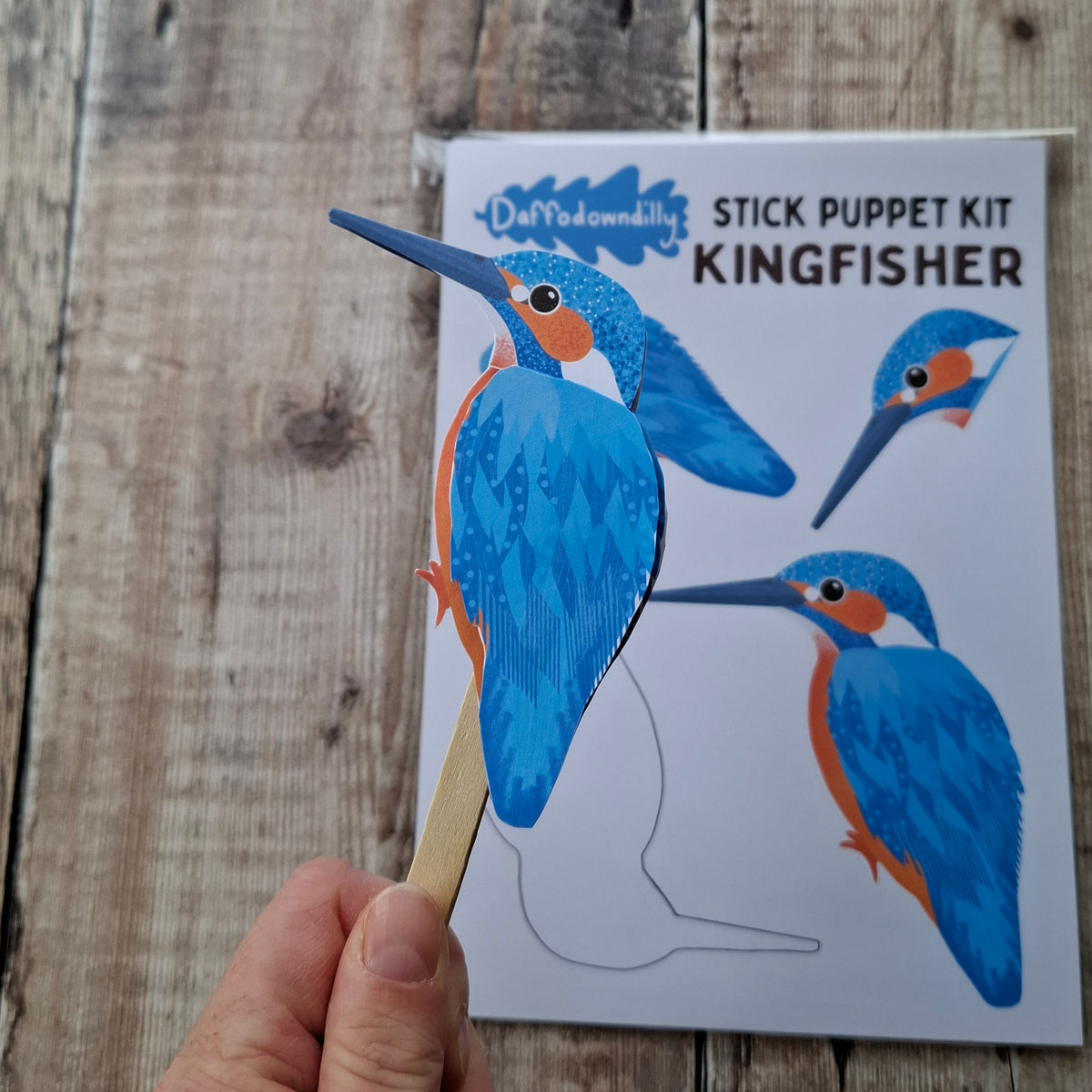 Kingfisher Stick Puppet Kit