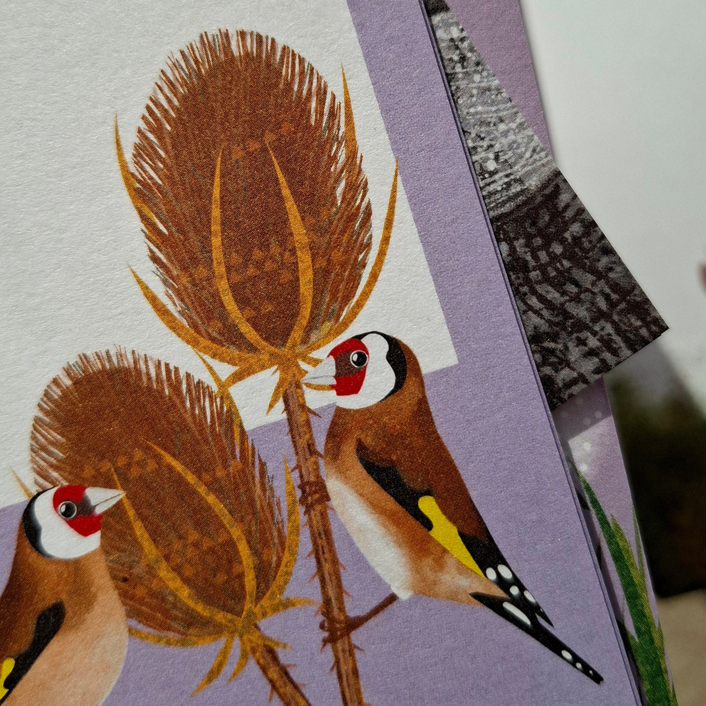 Goldfinches Gift Notes