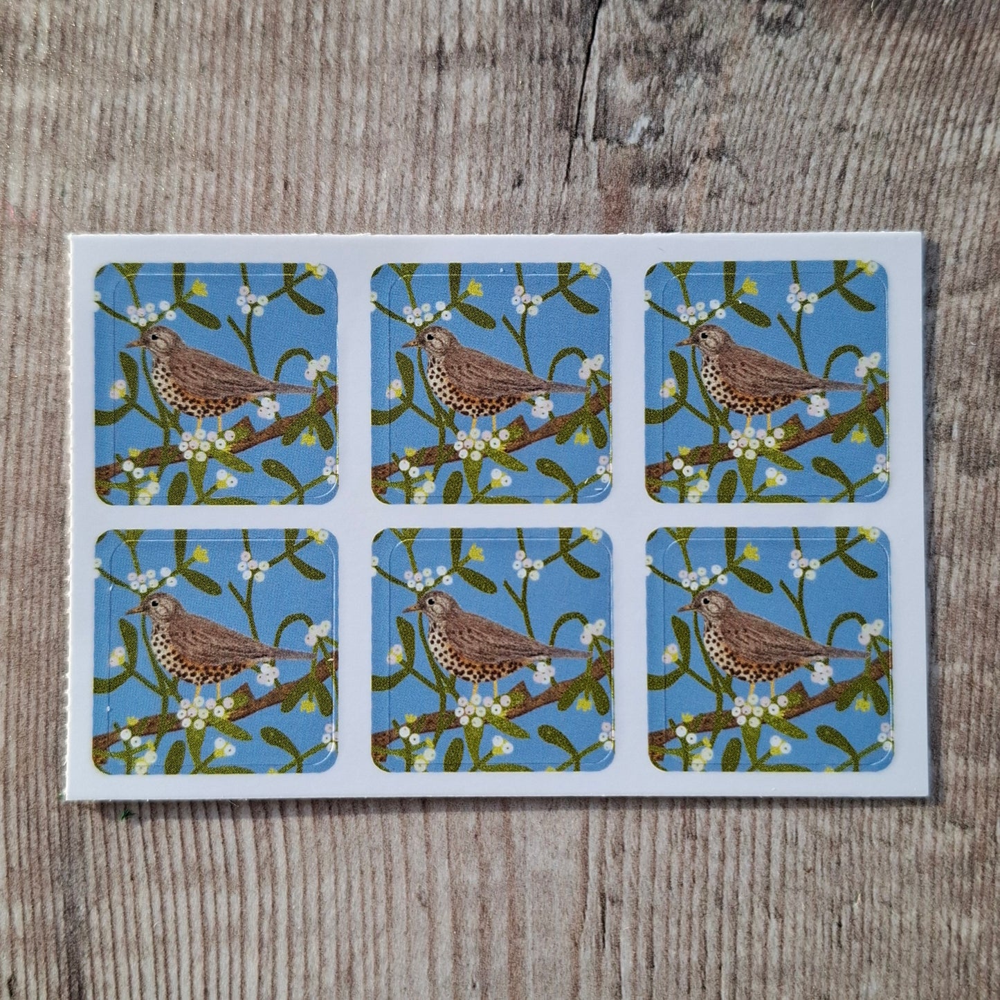 Mistle Thrush Envelope Stickers - Set of 6