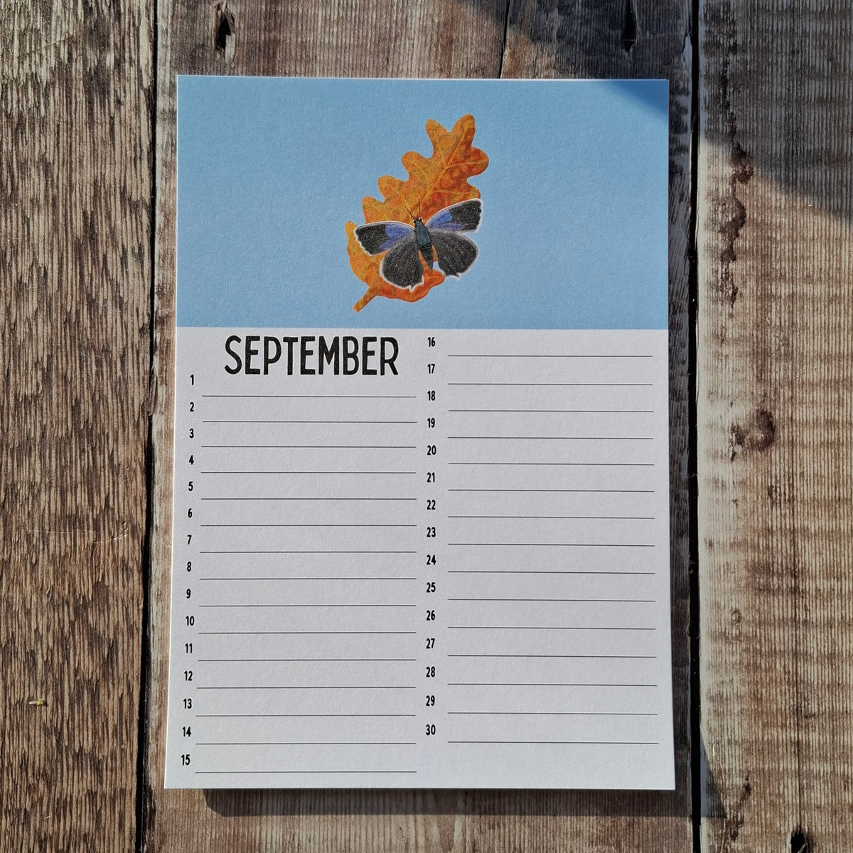 Calendar Sheets (new for 2026)