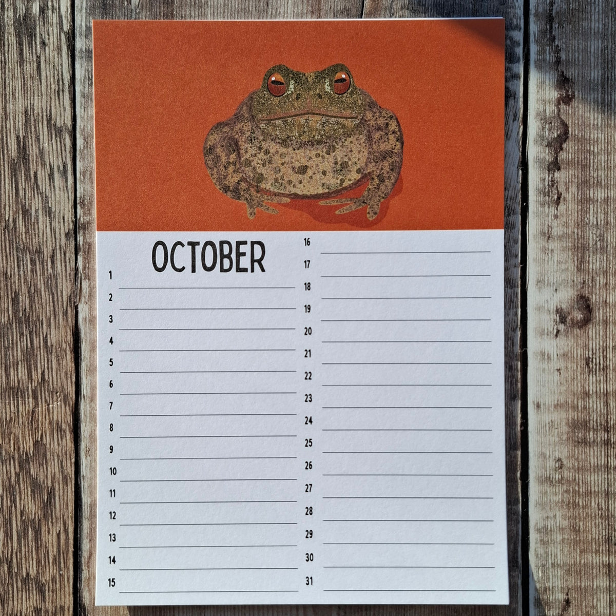 Calendar Sheets (new for 2026)