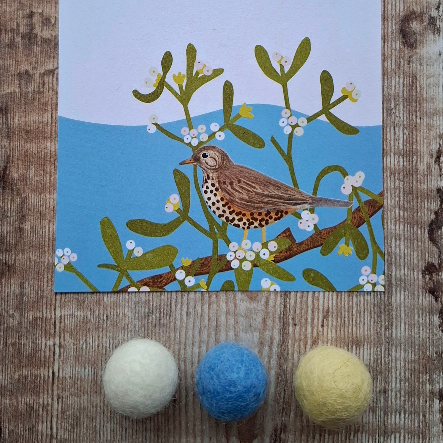 Mistle Thrush Gift Notes