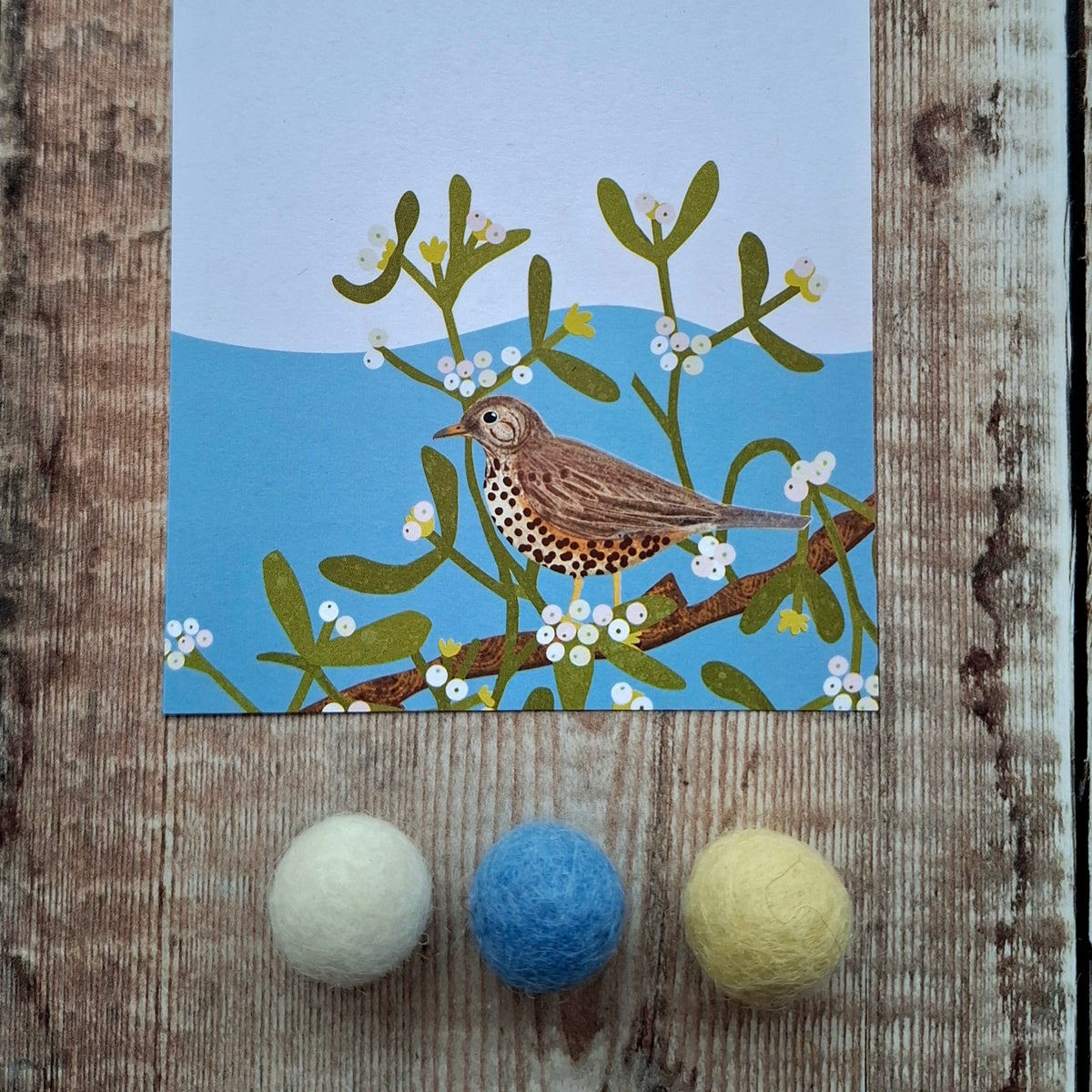Mistle Thrush Gift Notes