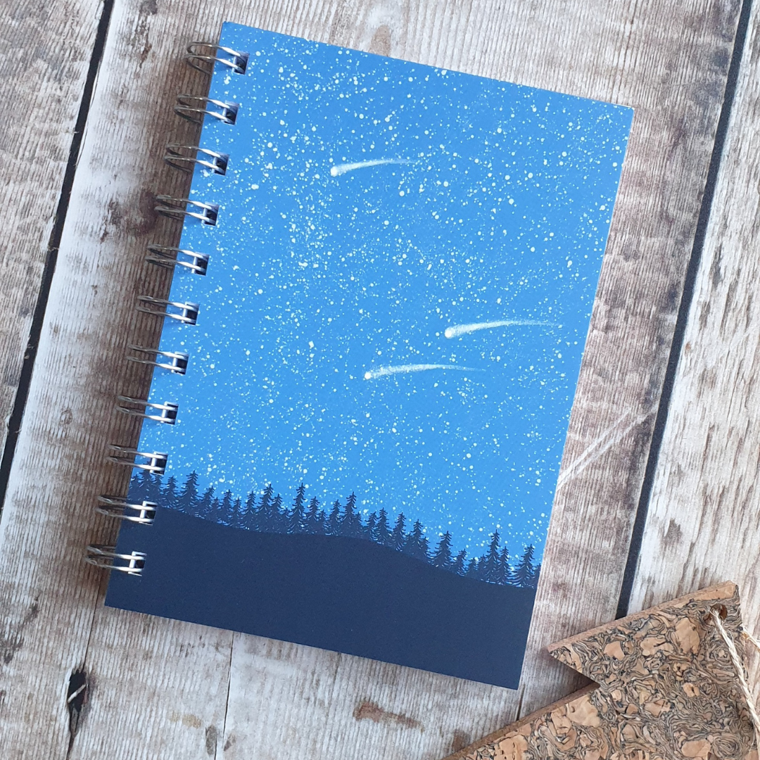 Meteor Notebook