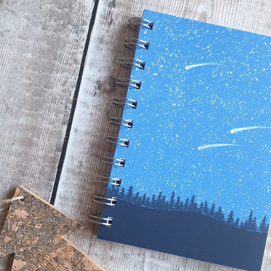 Meteor Notebook