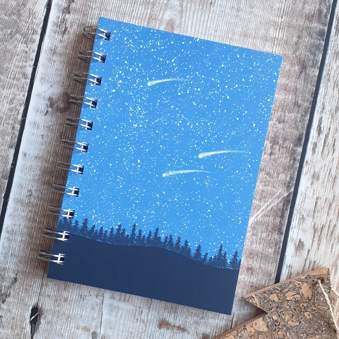 Meteor Notebook